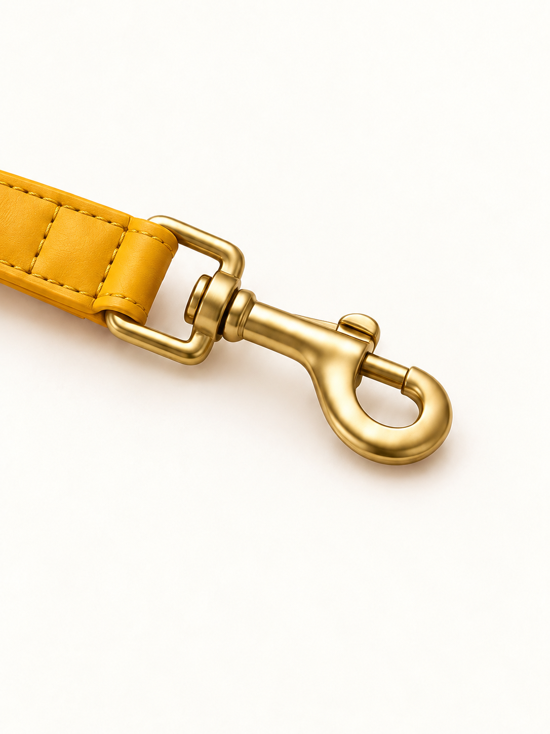 Braided Pet Leash