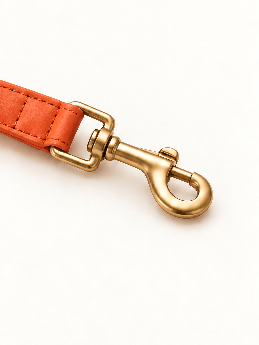 Braided Pet Leash