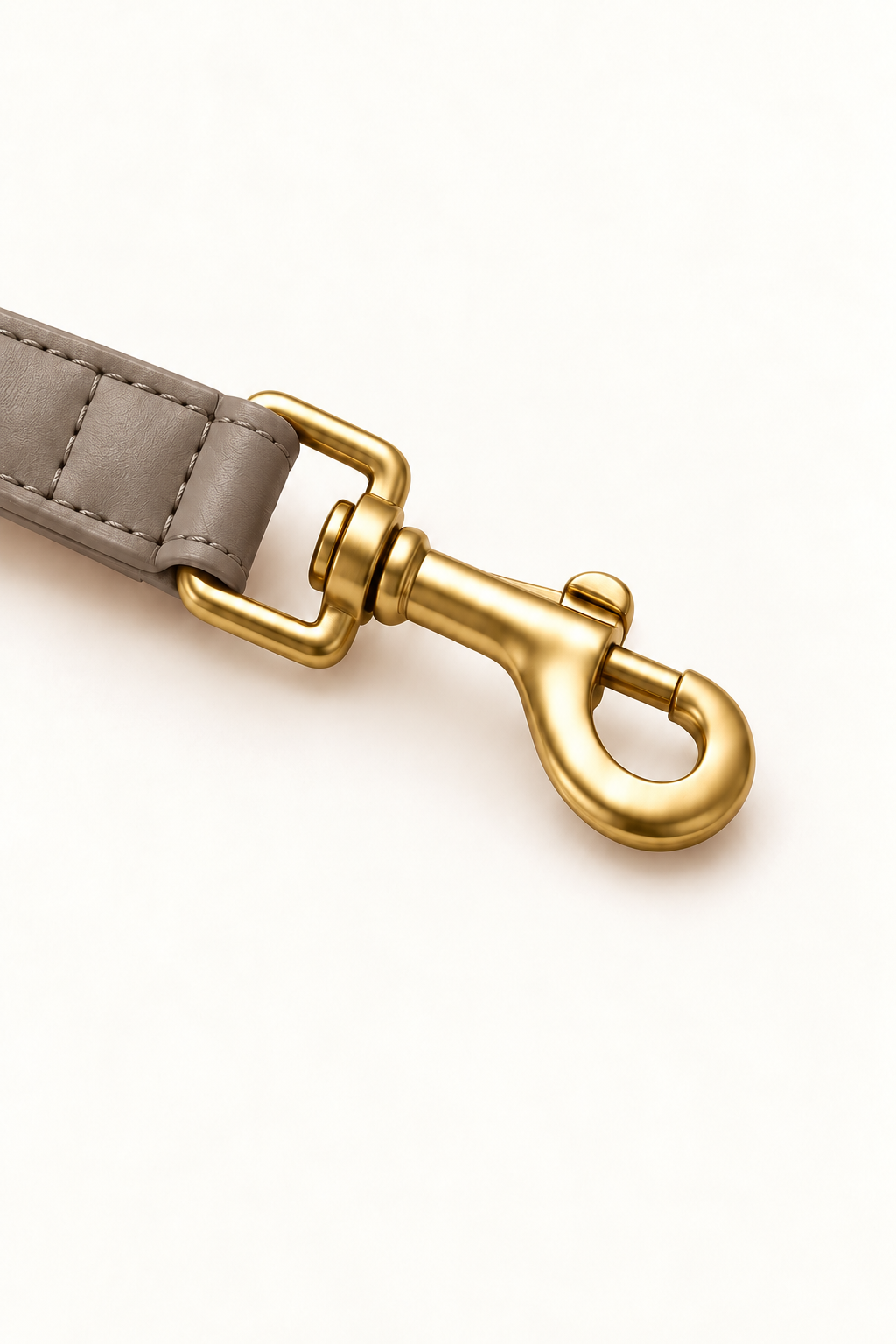 Braided Pet Leash