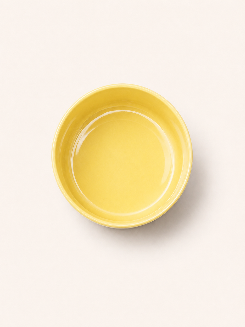 Classic Ceramic Pet Bowl