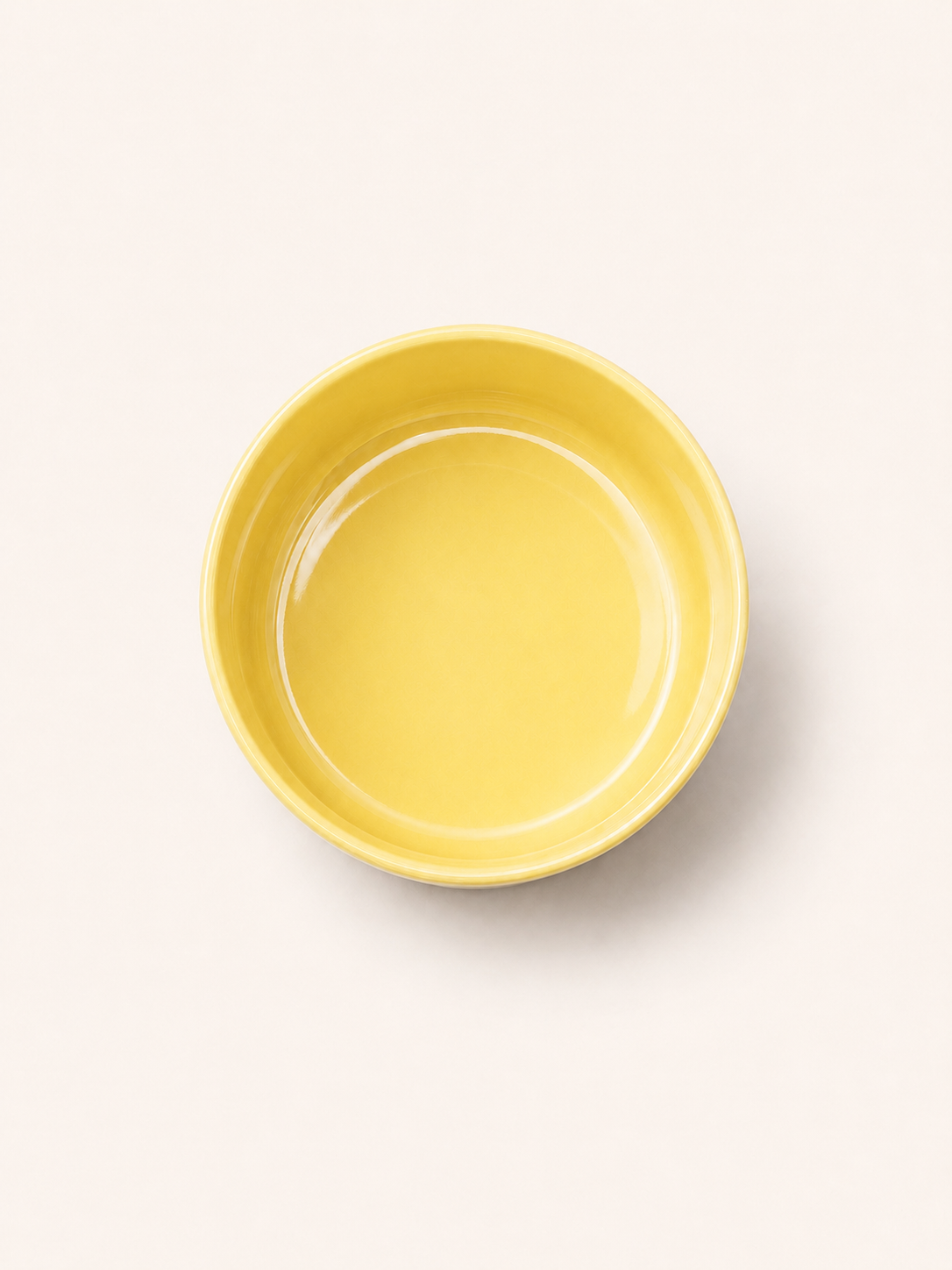 Classic Ceramic Pet Bowl