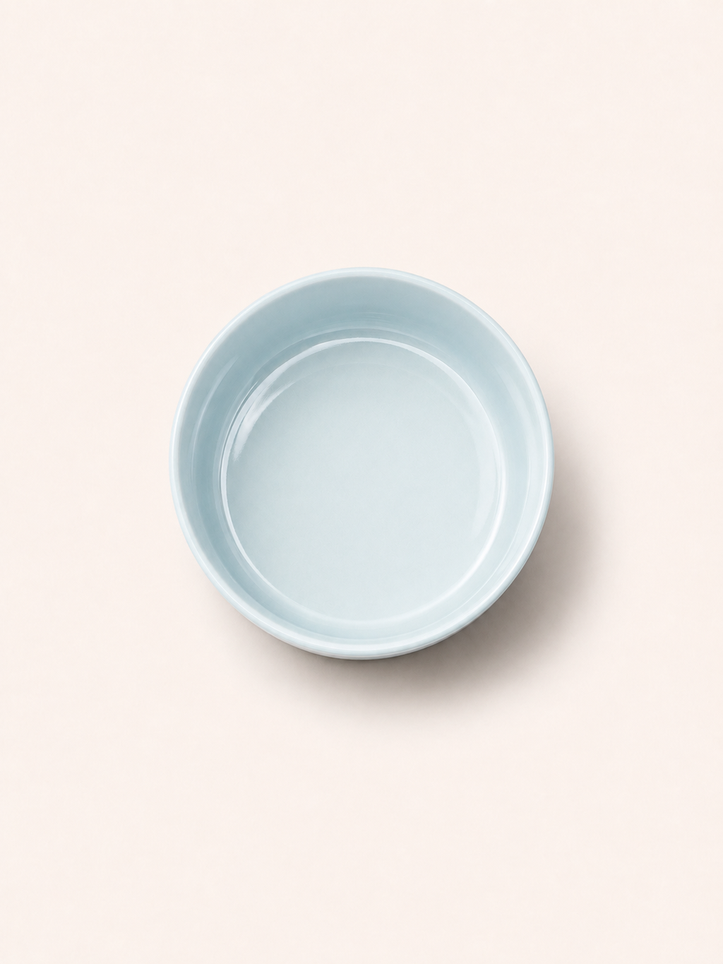 Classic Ceramic Pet Bowl