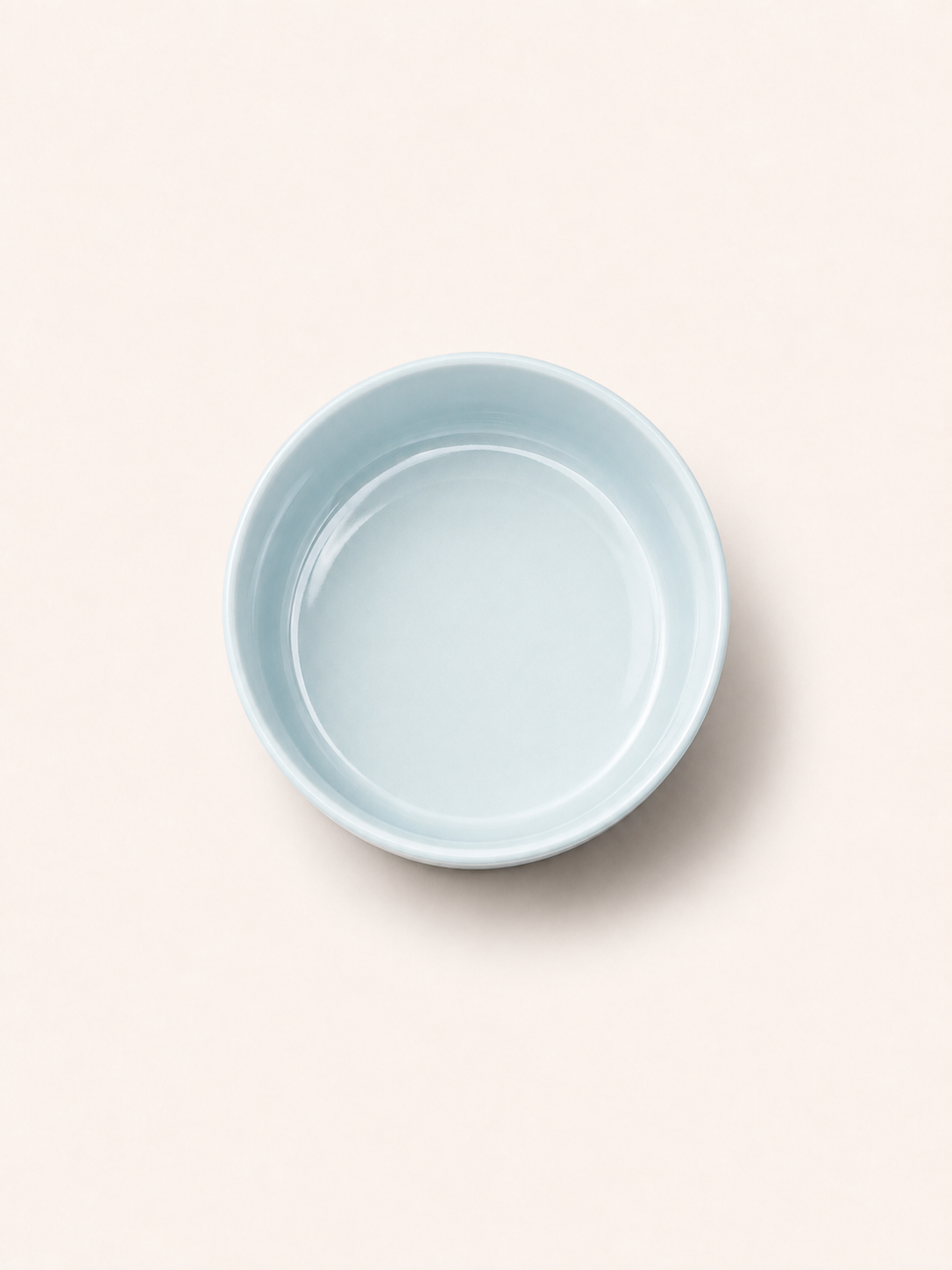 Classic Ceramic Pet Bowl