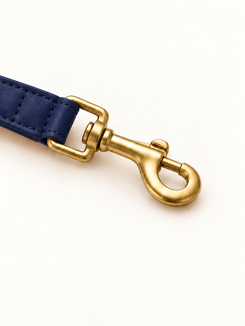Braided Pet Leash